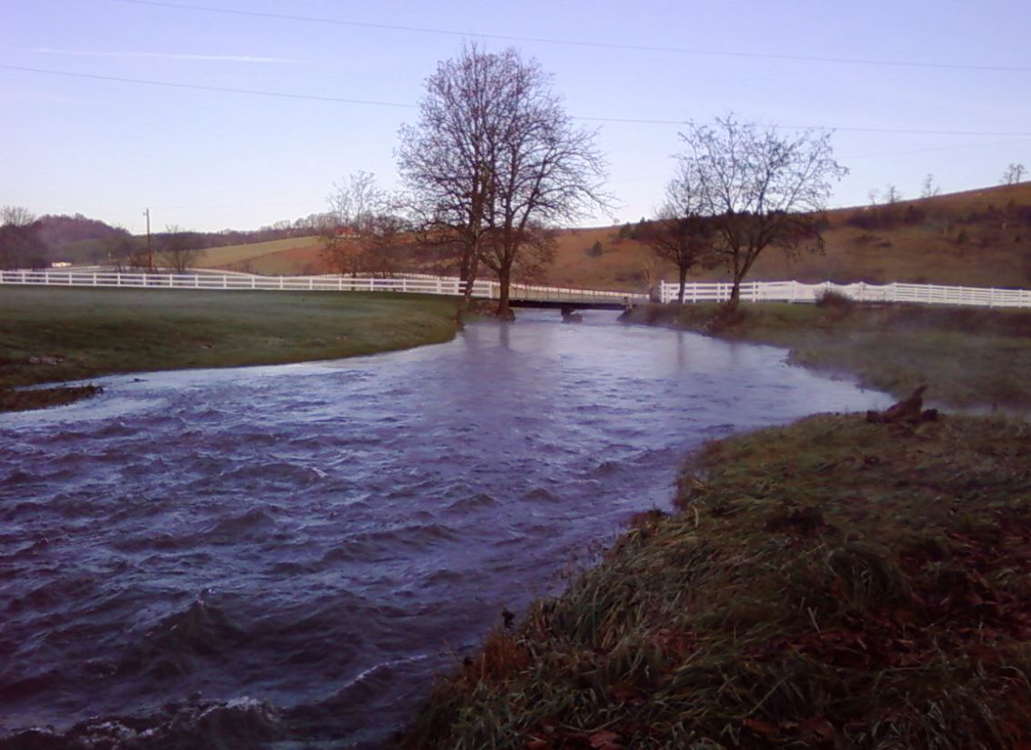 Cedar Springs Trout Farm
